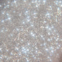 Sterling Silver shade of ColourPop SOL Shimmering Dry Oil sparkling in a close-up texture swatch, fine silver micro-shimmer catching light with starburst highlights to show the high-gloss, glowy body oil finish.