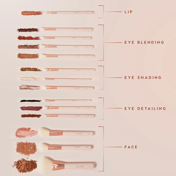 ColourPop Shadow Palette & Brush Set Doin’ the Most brushes arranged in flat lay, each applying pigment swatches; labeled rows for lip, eye blending, eye shading, eye detailing, and face on a soft pink background with cream handles and rose-gold ferrules.