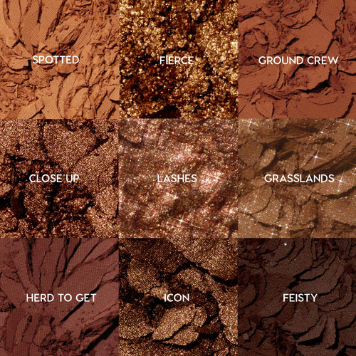 Tone Up ColourPop Shadow Palette set displays nine crushed warm-brown shades - Spotted, Fierce, Ground Crew, Close Up, Lashes, Grasslands, Herd to Get, Icon, Feisty - arranged in a 3x3 grid, mixing matte, satin, and glitter finishes.