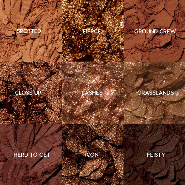 Tone Up ColourPop Shadow Palette set displays nine crushed warm-brown shades - Spotted, Fierce, Ground Crew, Close Up, Lashes, Grasslands, Herd to Get, Icon, Feisty - arranged in a 3x3 grid, mixing matte, satin, and glitter finishes.